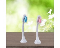 Emmi-Dent - Für Erwachsene